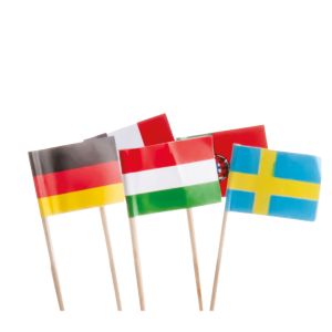 INTERNATIONAL FLAGS